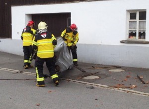 entfernen der Dachbleche