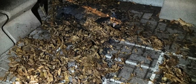 Brand Laubsack in Unterstand
