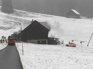17-Brand_Wiesen (1)