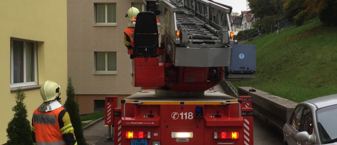Unterstützung Rettungsdienst