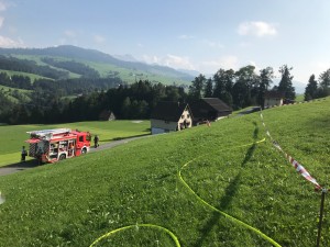 IMG_6354