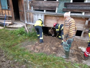 PHOTO-2019-10-06-13-51-11