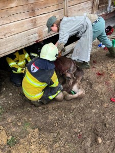 PHOTO-2019-10-06-14-09-05