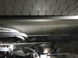 IMG_6743