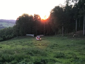 image12