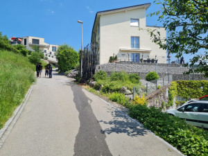 Hecke 06_LI